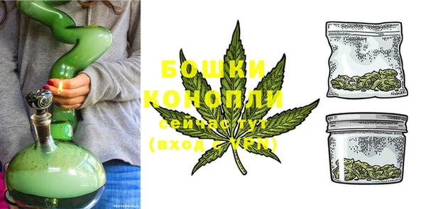 ГАЛЛЮЦИНОГЕННЫЕ ГРИБЫ Нягань