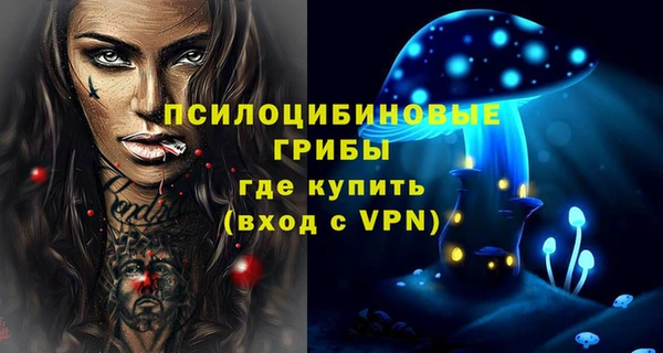 ECSTASY Нязепетровск